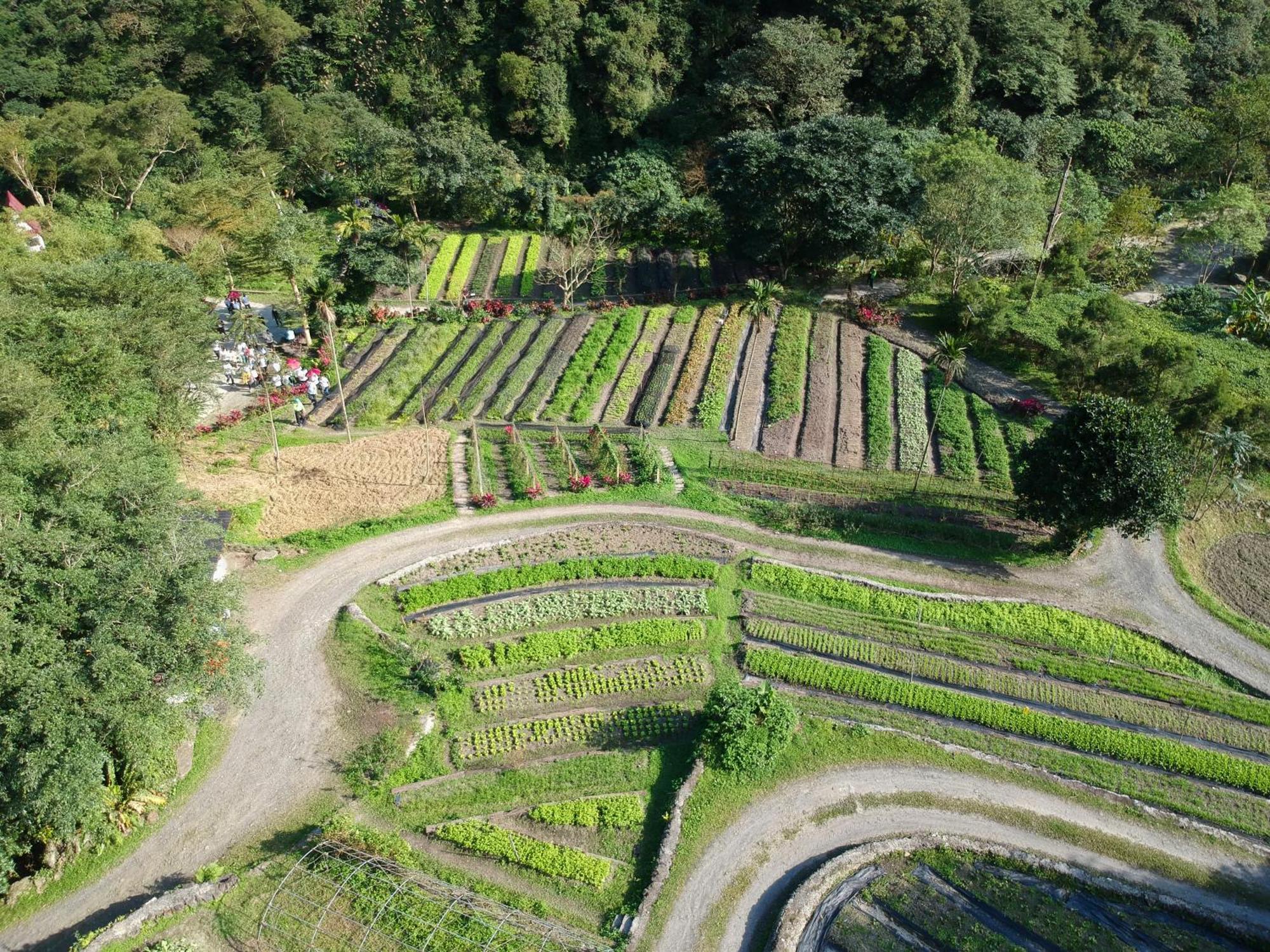 Tou-Cheng Leisure Farm Hotel Toucheng Eksteriør billede