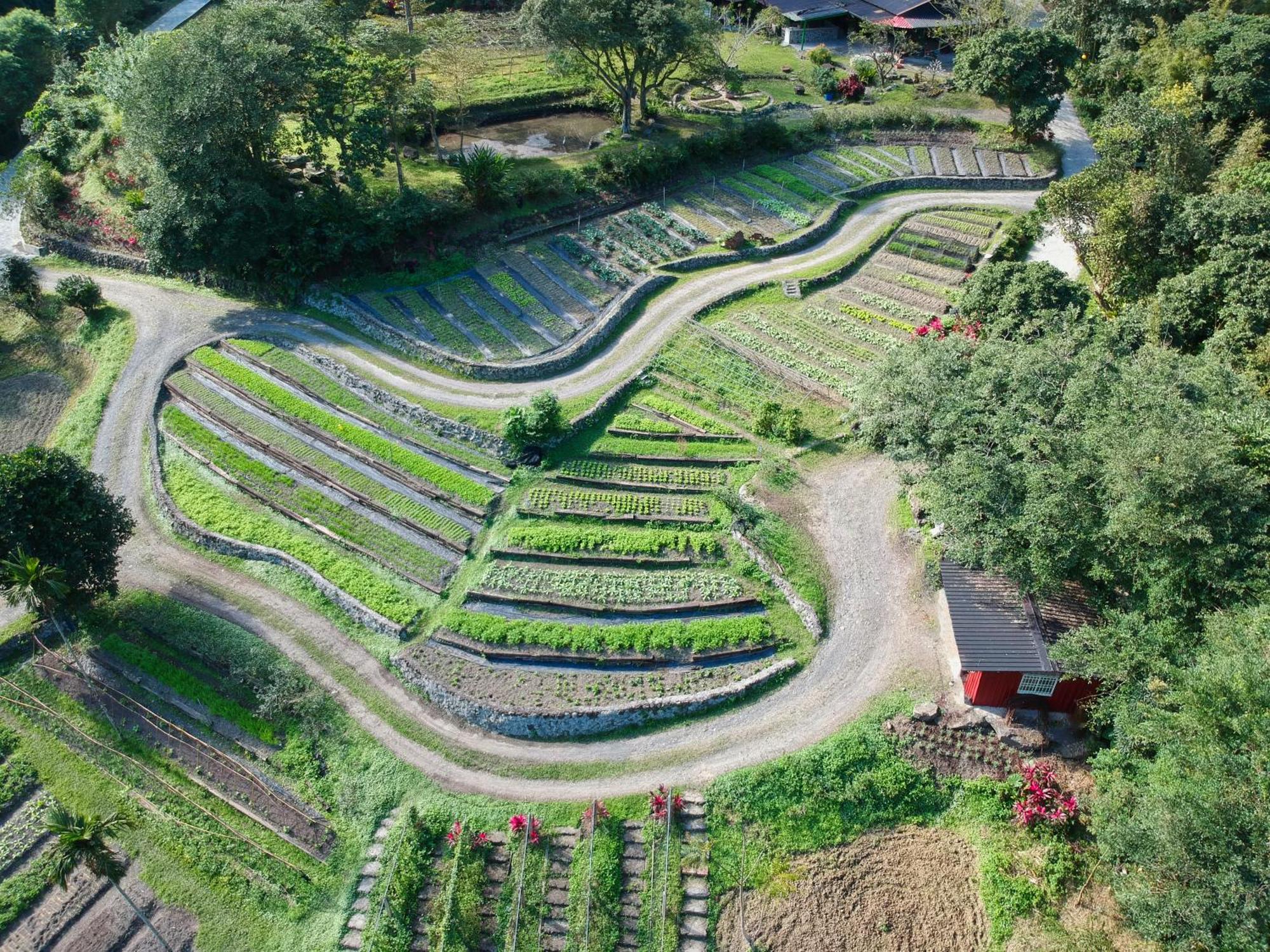 Tou-Cheng Leisure Farm Hotel Toucheng Eksteriør billede