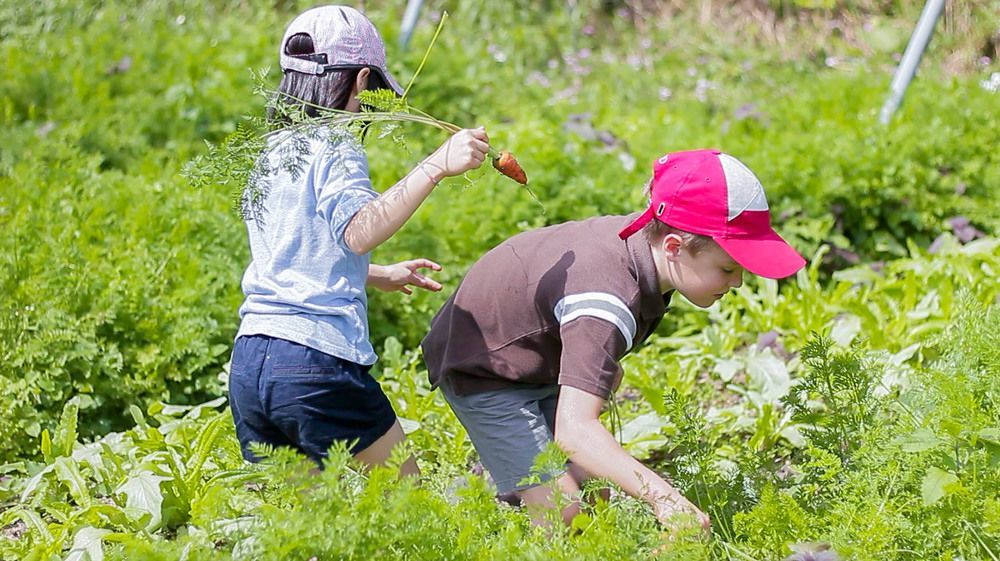 Tou-Cheng Leisure Farm Hotel Toucheng Eksteriør billede
