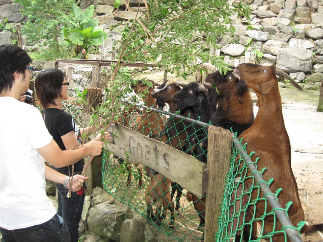 Tou-Cheng Leisure Farm Hotel Toucheng Eksteriør billede